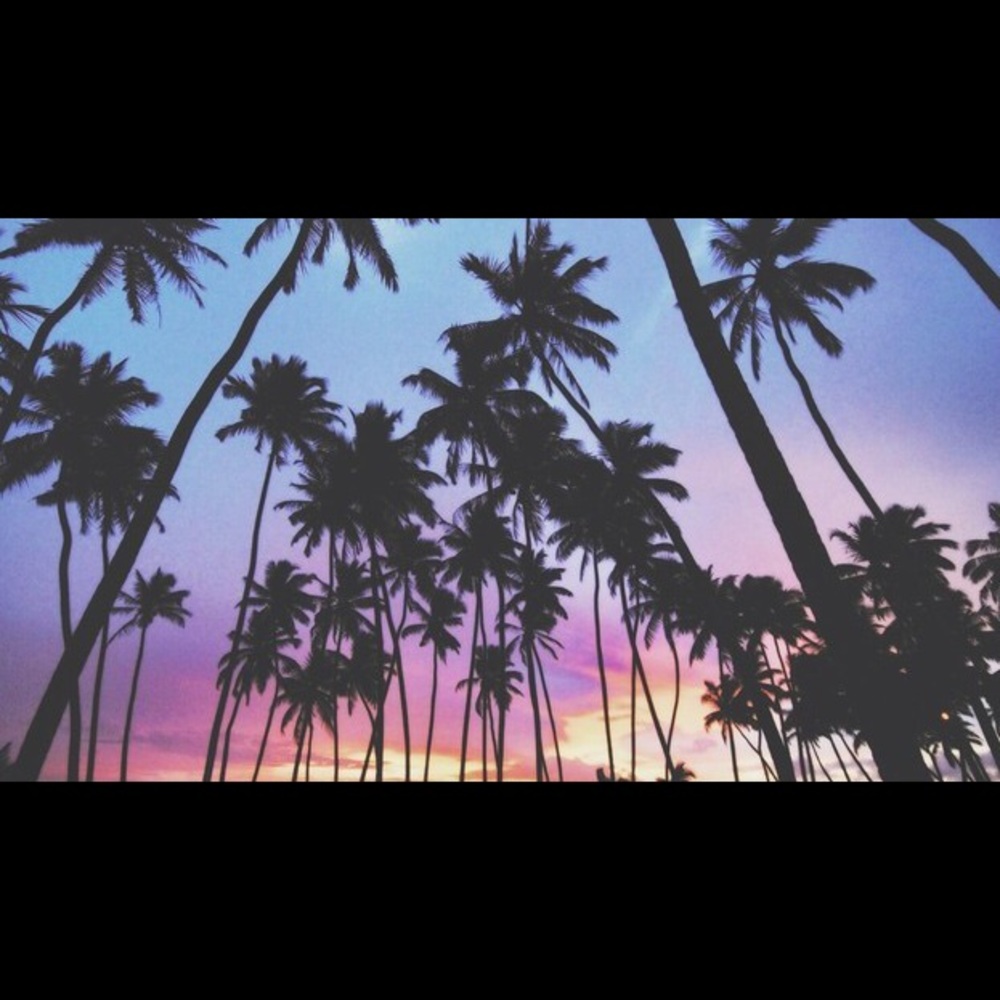 Meet your Posher, Patty